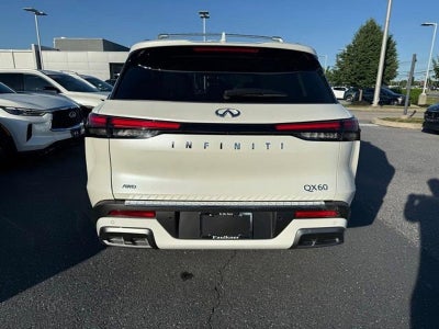 2024 INFINITI QX60 SENSORY AWD