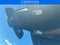 2025 Honda Civic Sport **CERTIFIED**