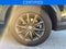 2026 Honda CR-V EX-L **CERTIFIED**