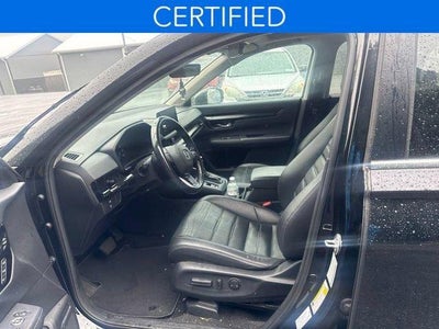 2025 Honda CR-V EX-L AWD