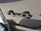 2023 Toyota Tacoma 4WD 4WD Limited Double Cab 5' Bed V6 AT (Natl)