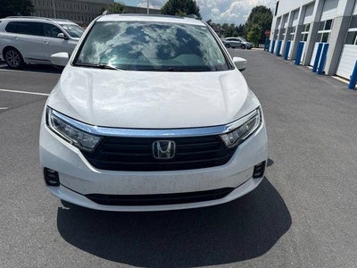 2024 Honda Odyssey Touring Auto