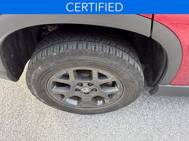 2025 Honda Pilot TrailSport **CERTIFIED**