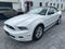 2014 Ford Mustang 2dr Conv V6