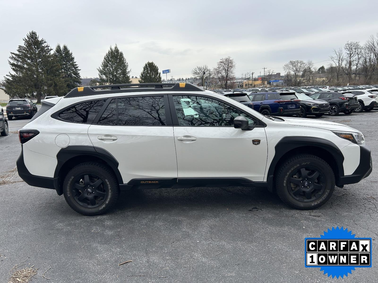 2025 Subaru Outback Wilderness AWD