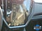 2025 Subaru WRX Premium CVT