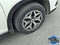 2023 Subaru Forester Premium CVT
