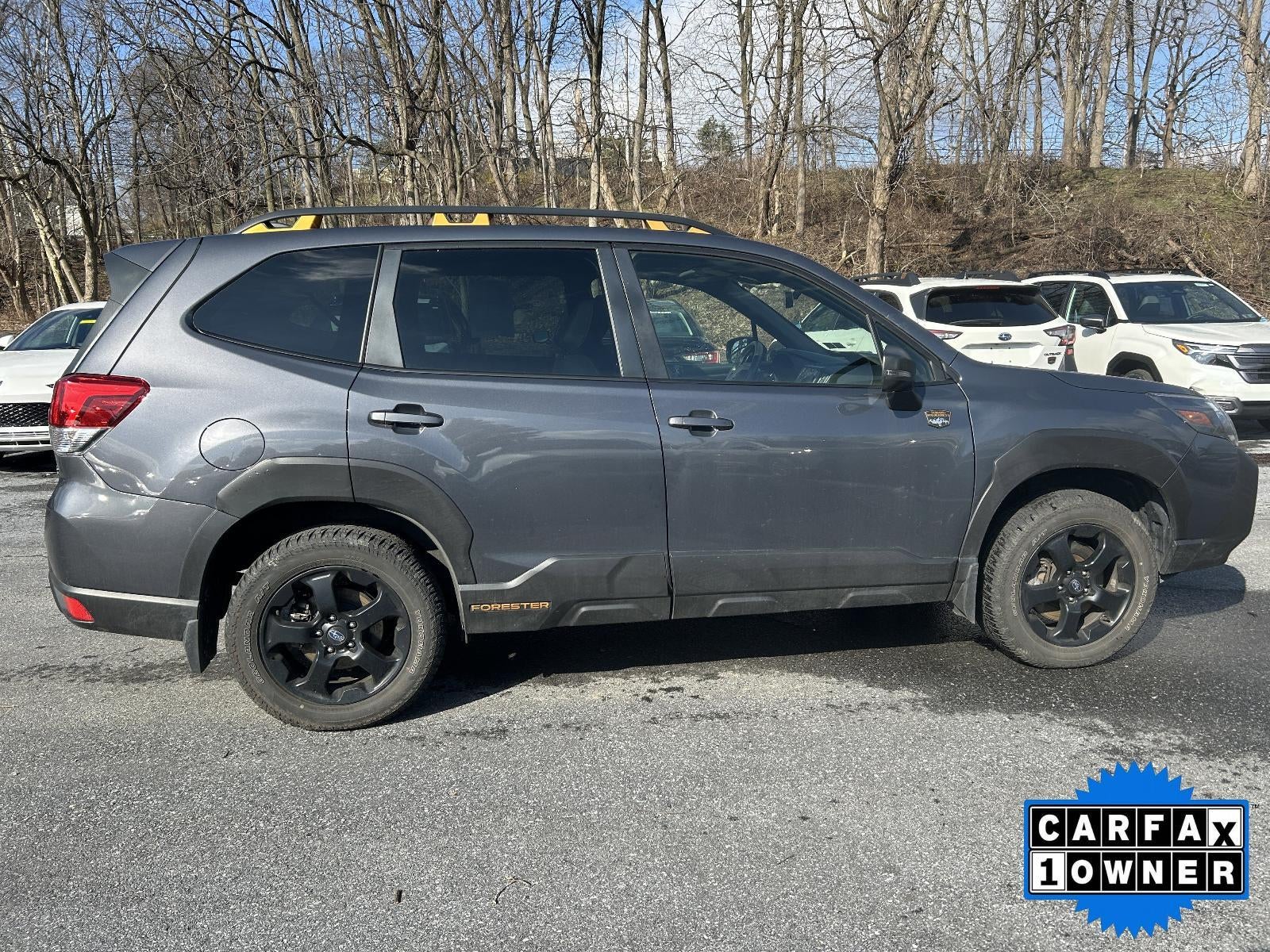 2023 Subaru Forester Wilderness CVT