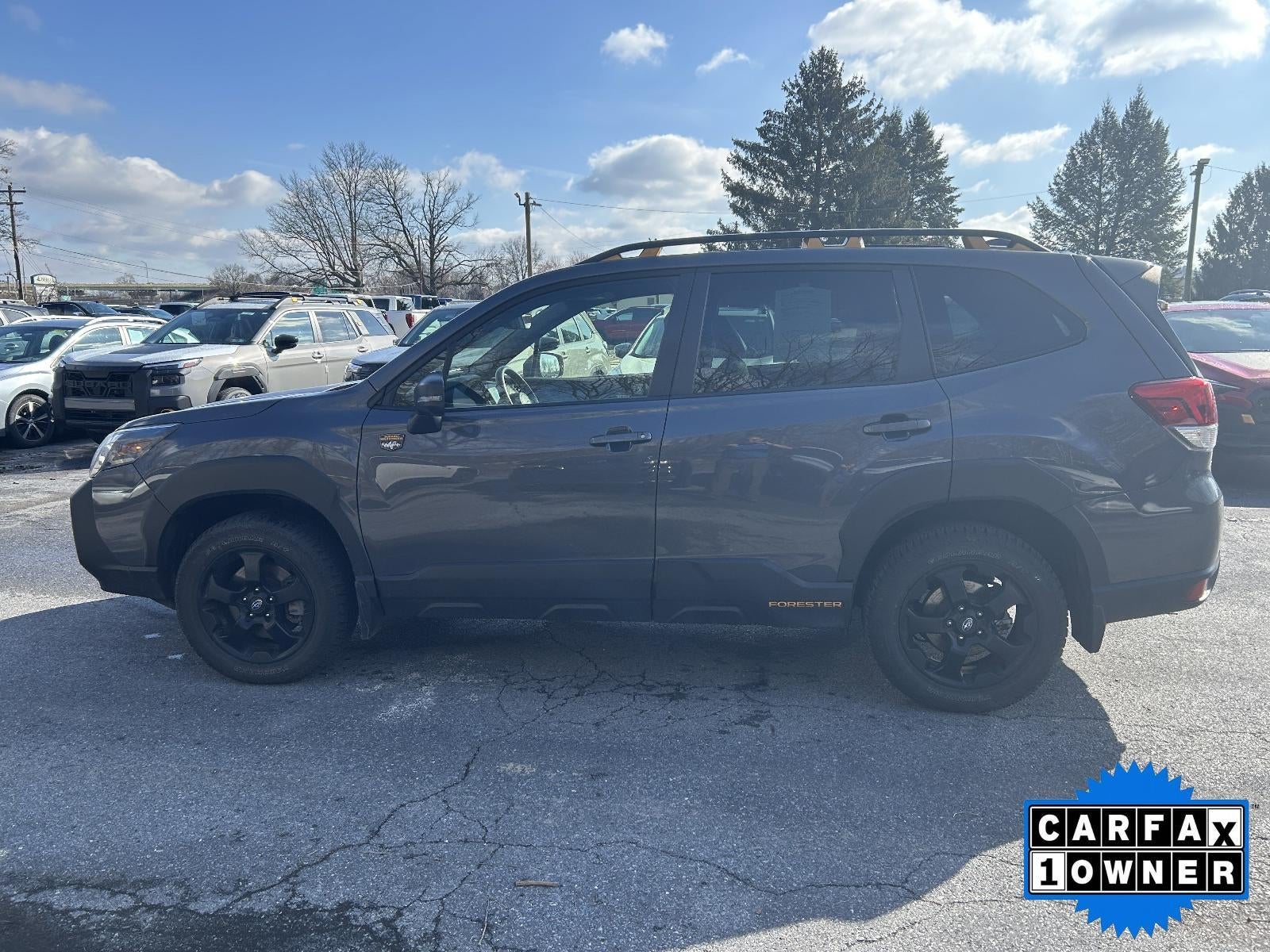 2023 Subaru Forester Wilderness CVT