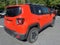 2015 Jeep Renegade 4WD 4dr Trailhawk