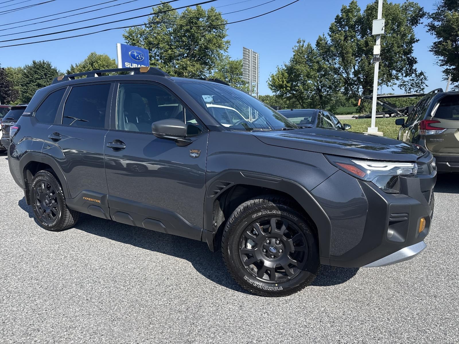 2026 Subaru Forester Wilderness CVT