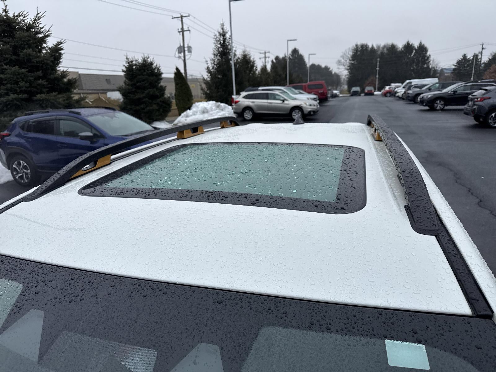 2025 Subaru Forester Wilderness CVT