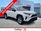 2019 Toyota RAV4 Hybrid LE AWD (Natl)