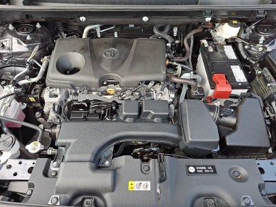 2025 Toyota RAV4 XLE AWD (Natl)