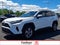 2025 Toyota RAV4 XLE AWD (Natl)