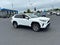2024 Toyota RAV4 XLE AWD (Natl)