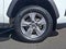 2025 Toyota RAV4 XLE AWD (Natl)