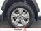 2025 Toyota RAV4 XLE AWD (Natl)
