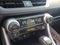 2024 Toyota RAV4 XLE AWD (Natl)