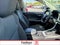 2025 Toyota RAV4 XLE AWD (Natl)