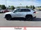 2024 Toyota RAV4 Hybrid SE AWD (Natl)