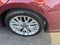 2018 Toyota Camry XLE Auto (SE)