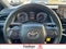 2023 Toyota Camry SE Auto (SE)