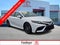 2024 Toyota Camry SE Auto (SE)