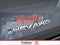 2025 Toyota Sienna Platinum AWD 7-Passenger (GS)