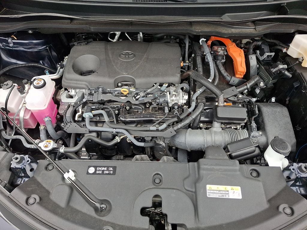 2024 Toyota Sienna XLE 7 Passenger