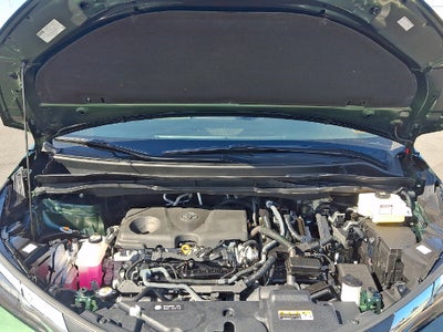 2025 Toyota Sienna XLE 8 Passenger