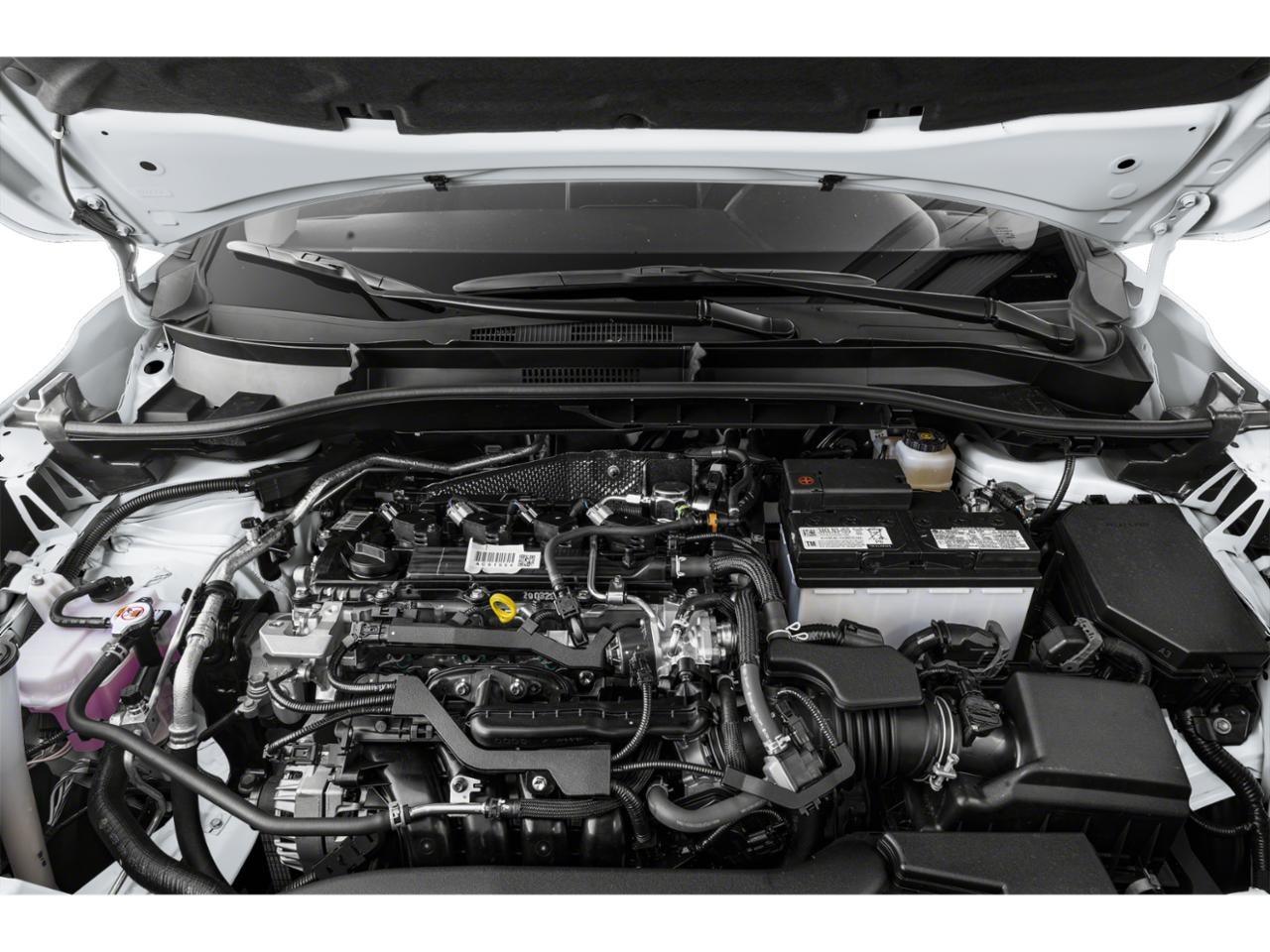 2025 Toyota Corolla Cross XLE 4WD (Natl)