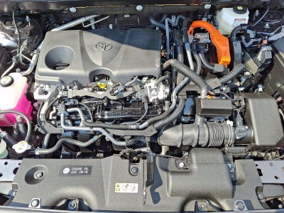 2025 Toyota RAV4 Hybrid XSE AWD (Natl)