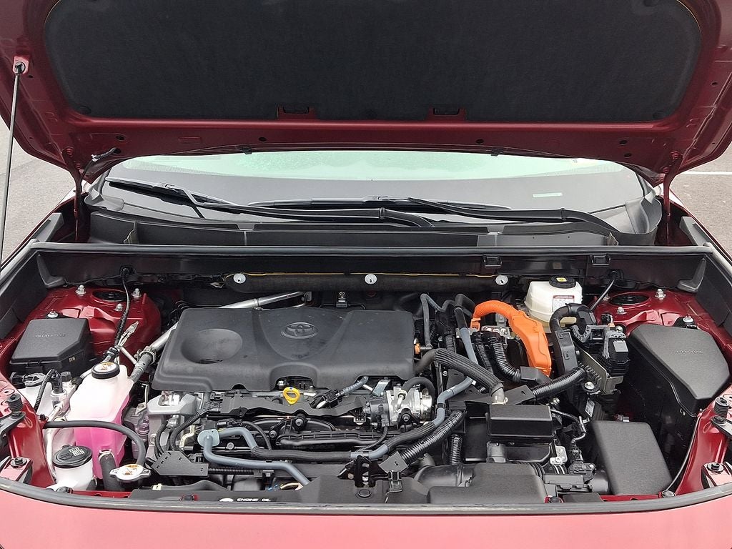 2025 Toyota RAV4 Hybrid XLE AWD (Natl)