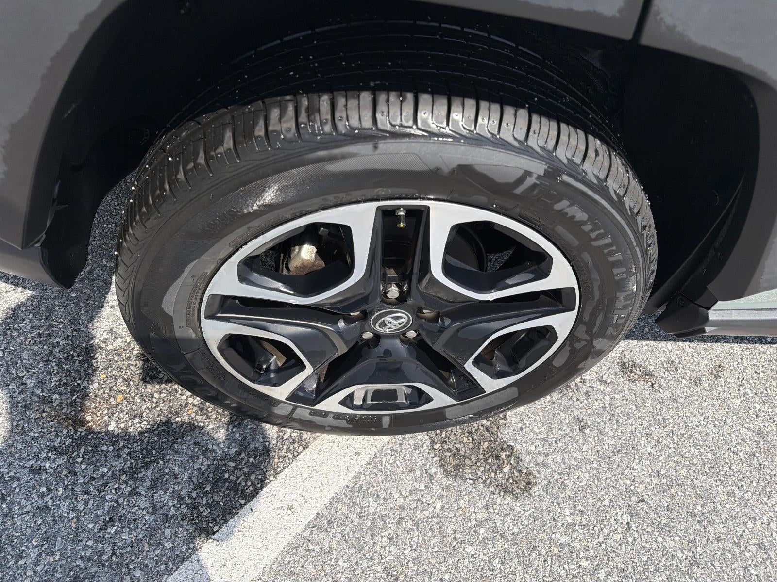 2019 Toyota RAV4 Adventure AWD (Natl)