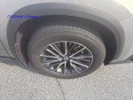 2024 Lexus NX 350h Premium AWD
