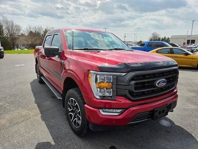 2021 Ford F-150 XLT 4WD SuperCrew 5.5' Box