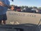 2024 Chevrolet Silverado 2500 HD Crew Cab Standard Box 4-Wheel Drive LTZ