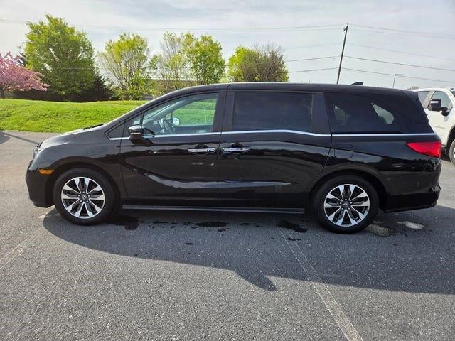 2023 Honda Odyssey EX-L Auto