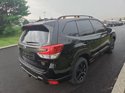2023 Subaru Forester Wilderness CVT