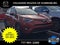 2017 Toyota RAV4 XLE AWD (Natl)