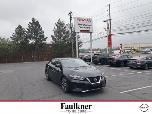 2023 Nissan Maxima SV CVT