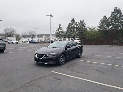 2023 Nissan Maxima SV CVT