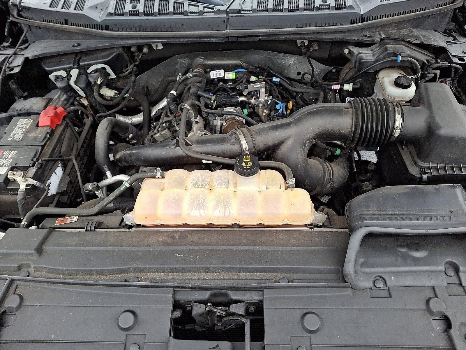 2019 Ford F-150 XL