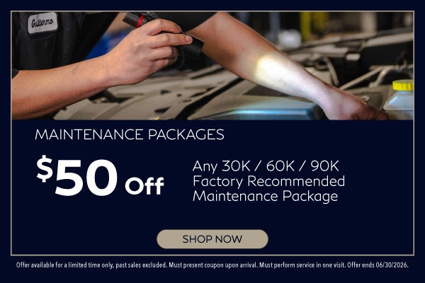 Maintenance Packages